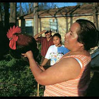 VIDEO: Director of the documentary "Mississippi Chicken" John Fiege-Main