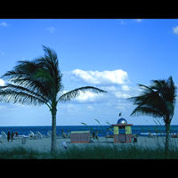 MIAMI INTERNATIONAL FILM FESTIVAL ANNOUNCES RECIPIENTS OF THE 2006 FILM COMPETITIONS-Main