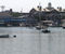 Woods Hole Film Festival Turns Sweet Sixteen July 28-August 4-Link